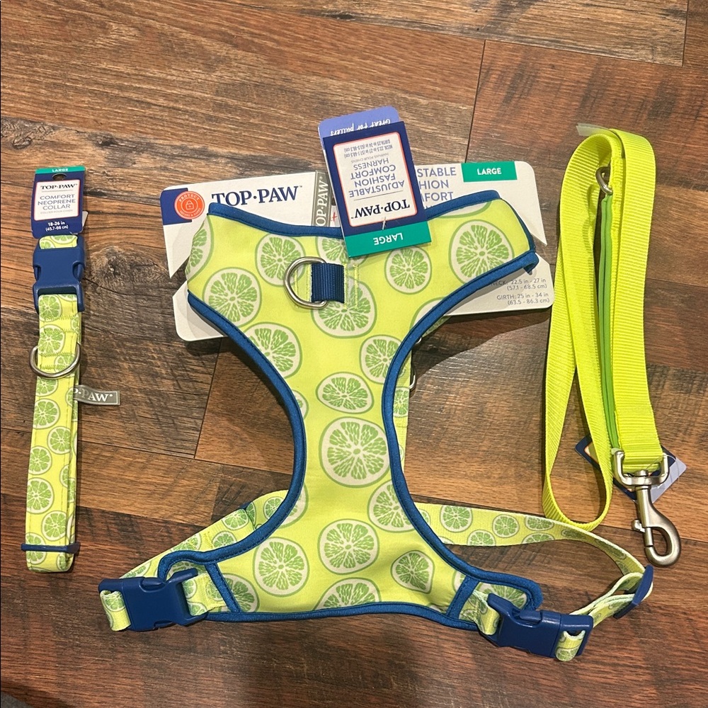 Top Paw Citrus Pattern Dog Harness, Collar and Leash Set- large